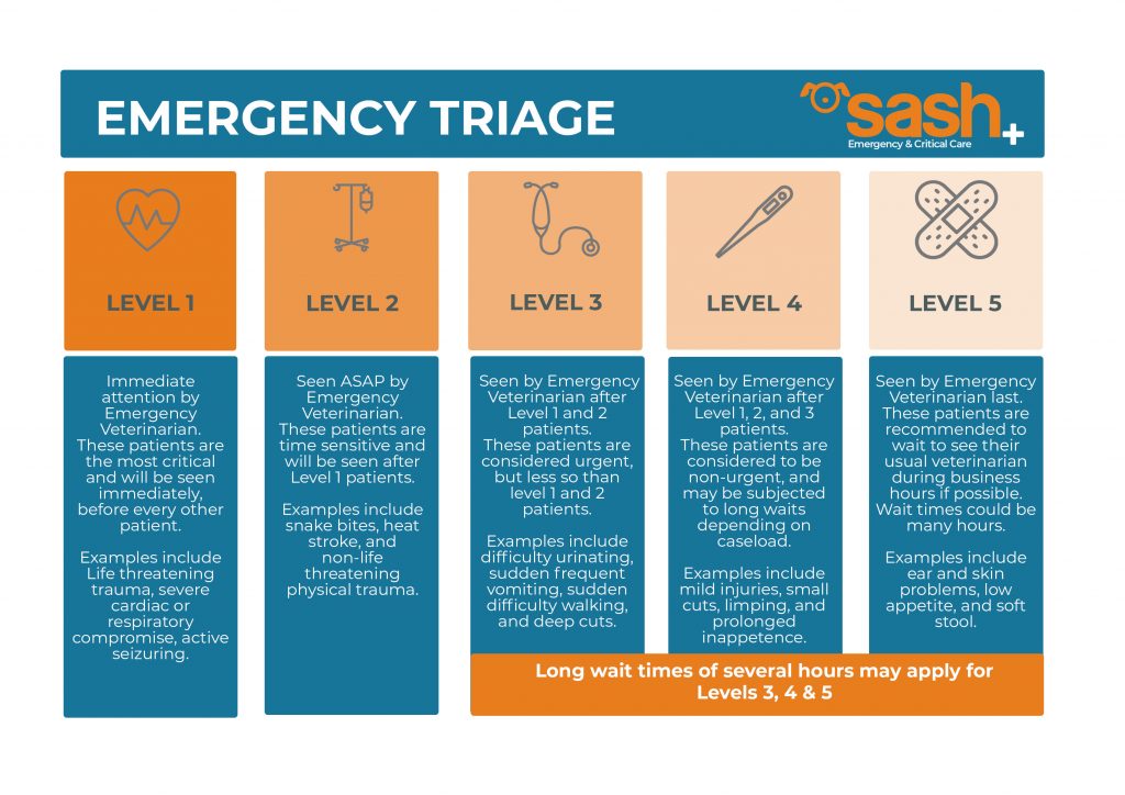 Emergency Triage Process
